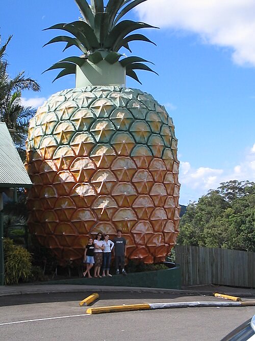 The Big Pineapple, Woombye